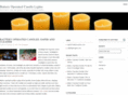 partylightingideas.com
