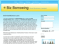 bizborrowing.com