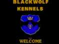 blackwolfnewfs.com