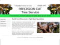 precision-cut.com