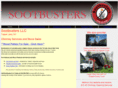 tlsootbusters.com