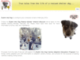 dublinthedog.com