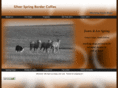 springbordercollies.com