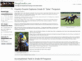 steeplestakes.com