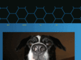 webgh0st.com