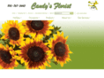 candysflorist.com