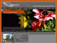 widgetzone.com