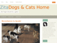 zitadogsandcatshome.org