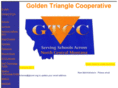 gtccmt.org