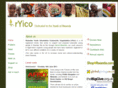 ryico.org