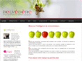 belvedere-conseil.com