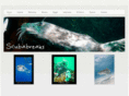 scubabreaks.com