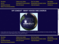 vipconduit.com