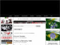 ahabrasil.com
