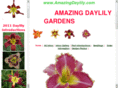 amazingdaylily.com