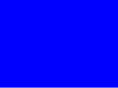 bokaropublicschool.com