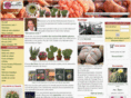 kuentz-cactus.com