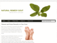 naturalremedygout.com
