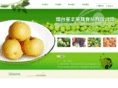 shengfengfruit.com