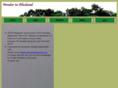 wonderinaliceland.com
