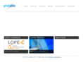ynvisible.com