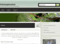 introspexxion.com