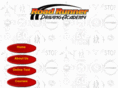 roadrunnerdriving.com