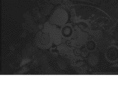 thepiccolohotel.com