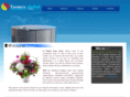 tsemex.com