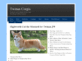 twinancorgis.com