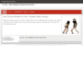 usidfencing.com