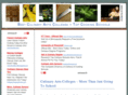 best-culinary-arts-colleges.com
