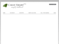 caratsmart.com