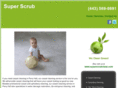 carpetcleaningperryhall.com