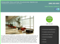 cleaningservicejacksonville.com