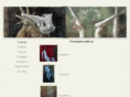 aksiniya.com
