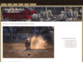 angolarodeo.com
