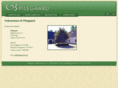 pilegaard.info