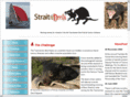 strait4devils.com.au