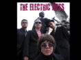 theelectricmess.com