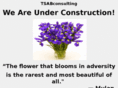 tsabconsulting.com