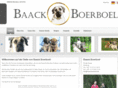 baackboerboel.com