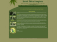 detroitmetrocaregivers.com