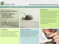 mosaic-lab.com