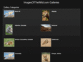 imagesofthewild.com
