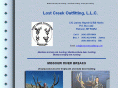 lostcreekoutfitting.com