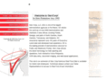 servcorpsampling.com