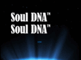 soul-dna.com