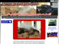 extremesounds4atvs.com