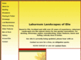 laburnum-landscapes.com